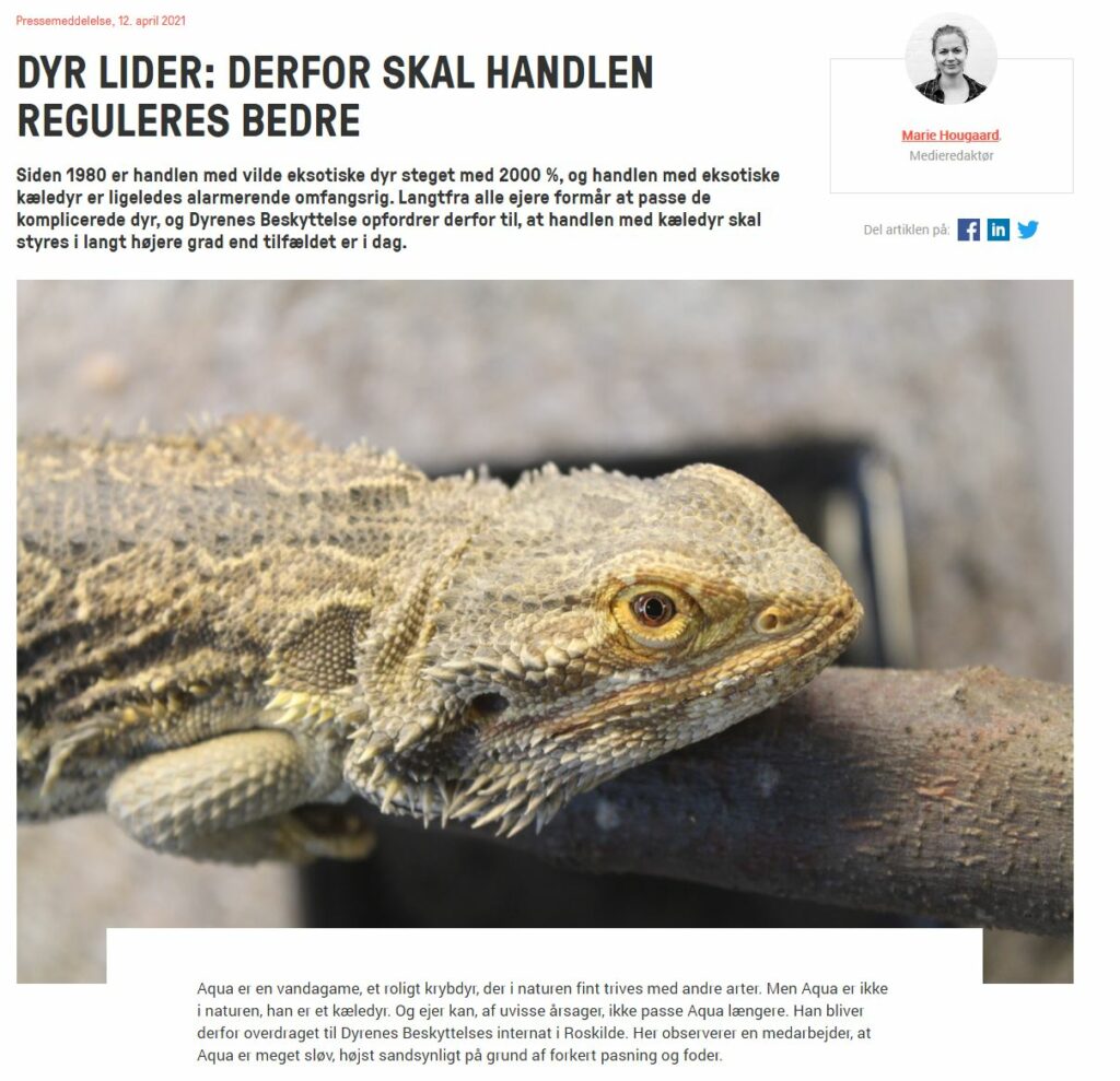 Vedr. pressemeddelelse 12. april 2021 Dyrenes Beskyttelse ”Dyr lider: derfor skal handlen reguleres bedre” Nordisk Herpetologisk Forening